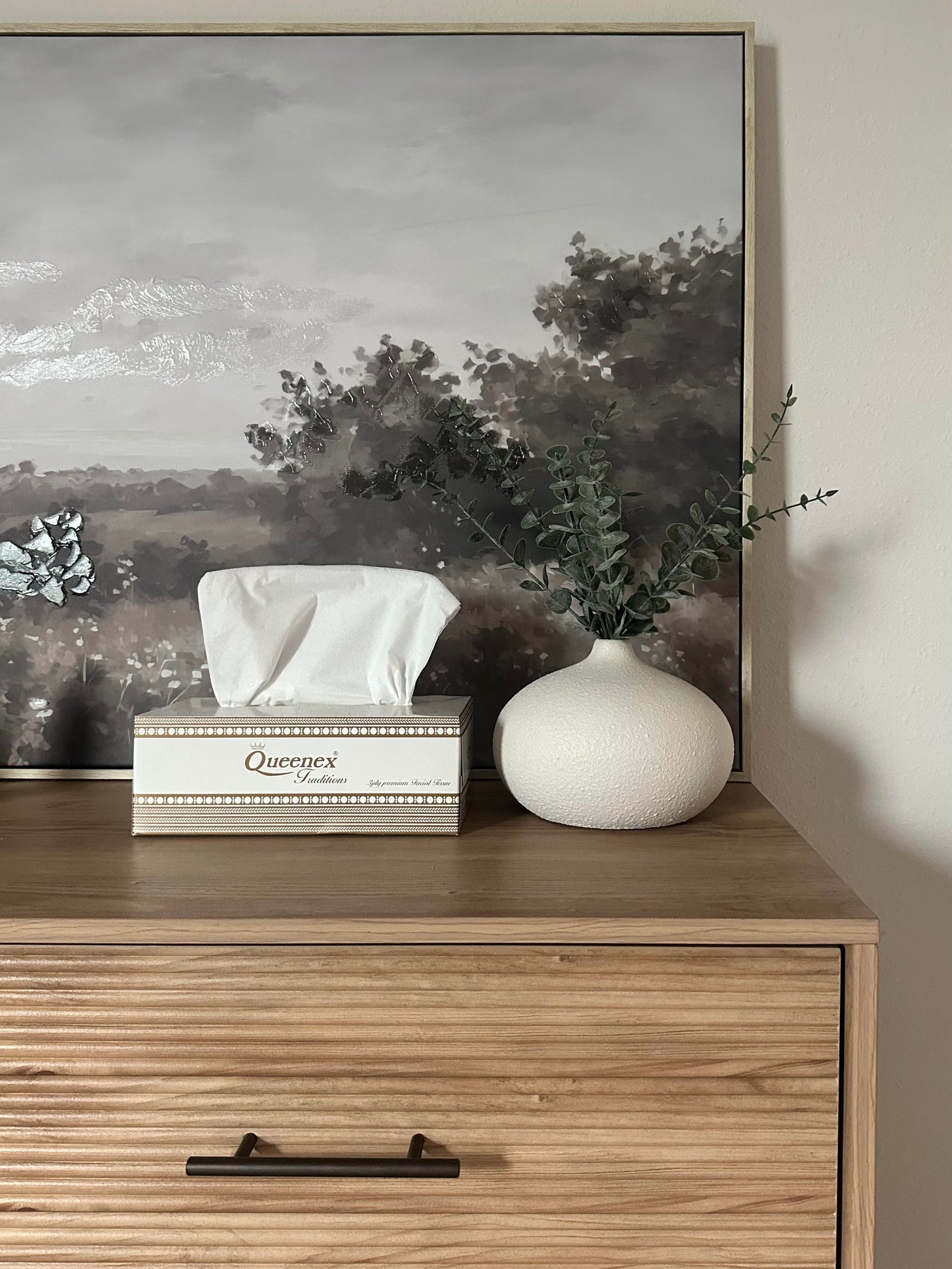 Queenex Ultra Soft Facial Tissues, 150 Tissues per Box, 3-Ply (5-Pack)